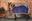 Cavalier - Cotton Show Rug