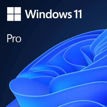 Microsoft Windows 11 Professional 64bit – PC System Accessories | ACP Online